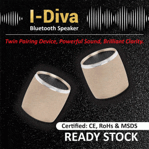 I-Diva-GIF